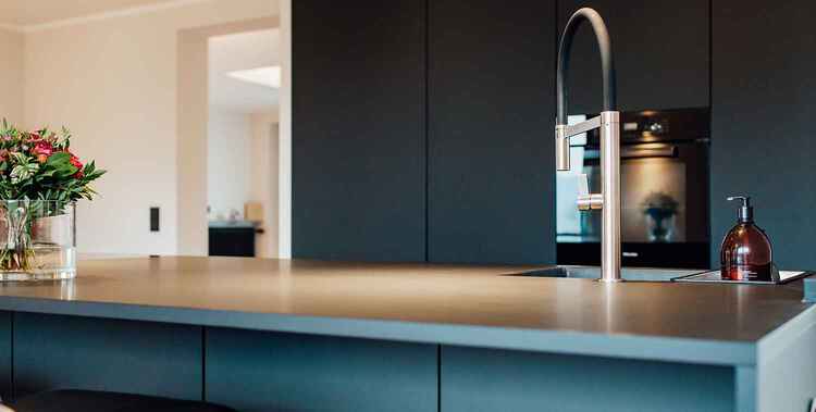 Fenix im Dienste Ihrer Majest&auml;t